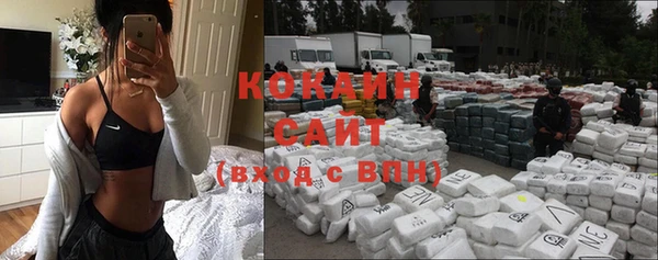 шишки Кинешма