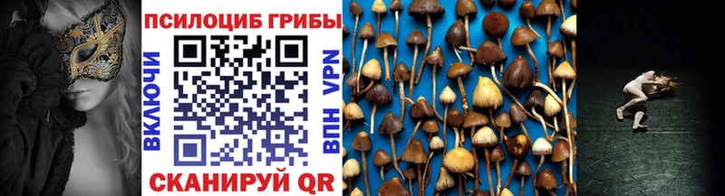 Купить Южа Псилоцибиновые грибы ЛСД